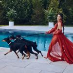 artist image Cardi B Money Money - Single
