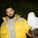 artist image niteboii U. - Niteboi [TikTok Remix] Nightcore/Speed up Take Care (Deluxe Version)