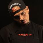 artist image Chris Brown We (Warm Embrace) Breezy