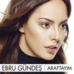 album image Ayni Asklar Araftayım