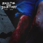 album image SKATE AND DESTROY (bassboosted by vldslv1)