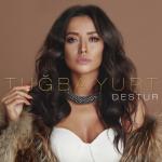 album image Destur 2017 Destur - Single
