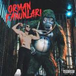 album image Babafingo ORMAN KANUNLARI
