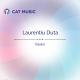 Unknown artist - Laurentiu Duta - Visator (Official Video)