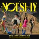 album image Not Shy Not Shy - EP