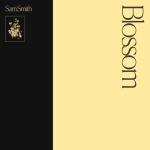 album image Diamonds (DFM Mix) Blossom - EP