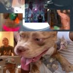 album image Thats No Fun The Lo-Fis