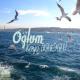 Kaya Tiglioglu - Oglum