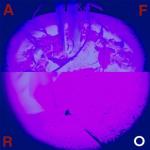 album image Afro Afro - Single