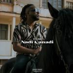 poster Nadi Canadi Nadi Canadi