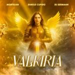 poster Valkiria Valkiria